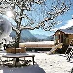 Alpenhaus Monte Guest house 3*