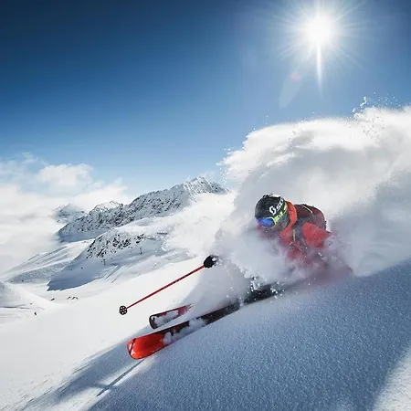 Alpenhaus Monte 게스트하우스