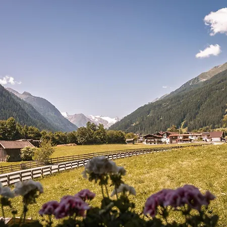 Pensionat Alpenhaus Monte 3*