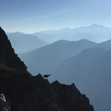 Alpenhaus Monte Bike & Hike